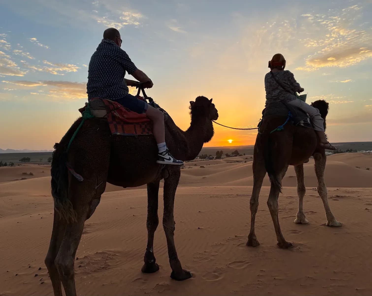 Camel Safaris 4