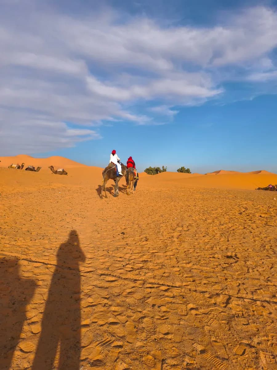 Moroccan Desert, Oasis & Mountain Adventure