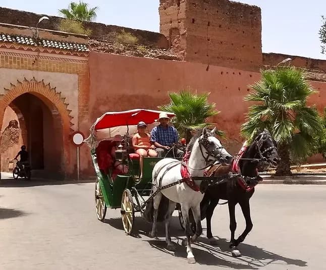 Marrakechtours 5