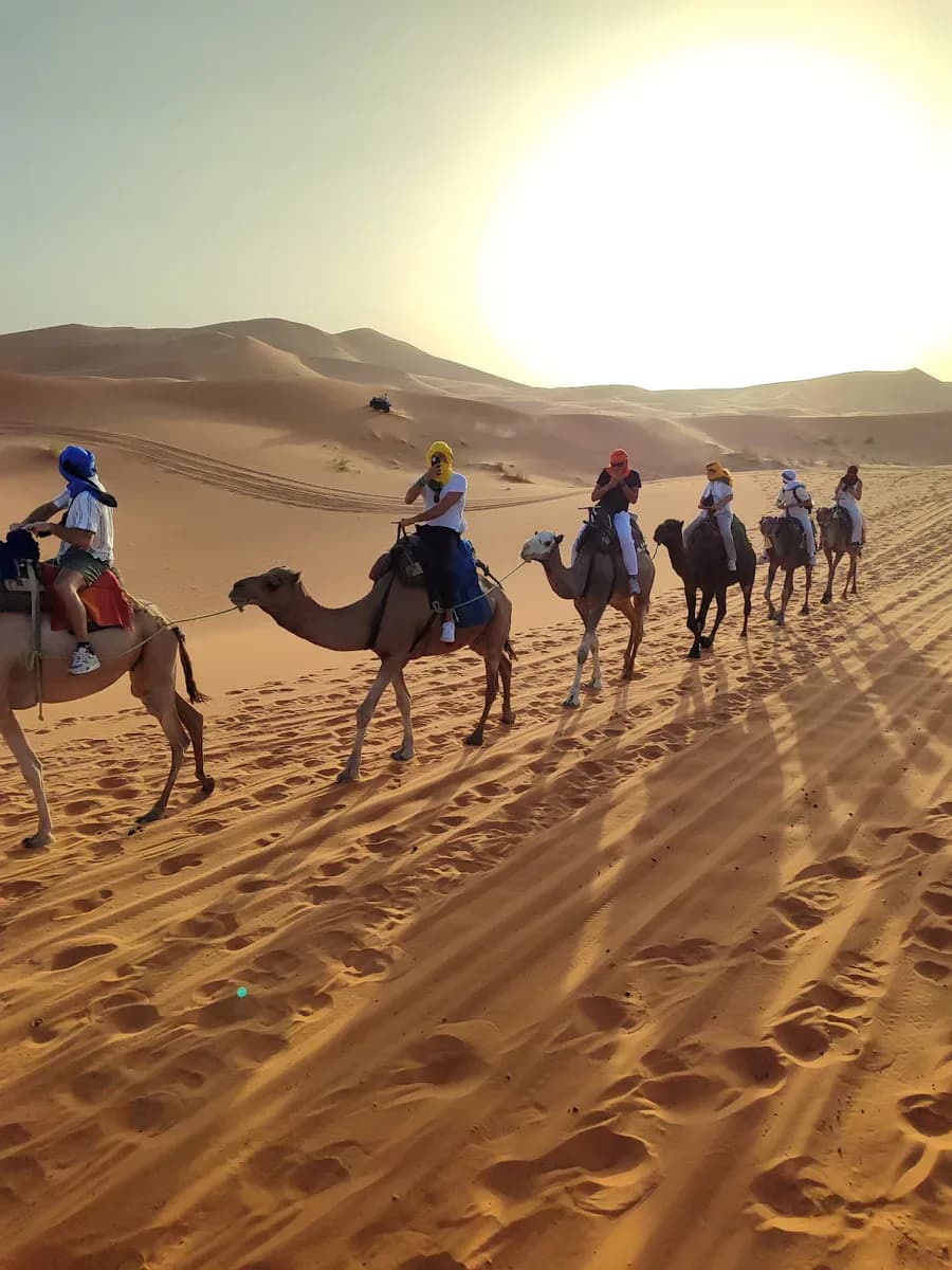 Camel Ride and Desert Buggy Adventure