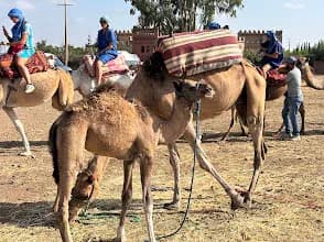 Marrakech Outdoor Trips 3