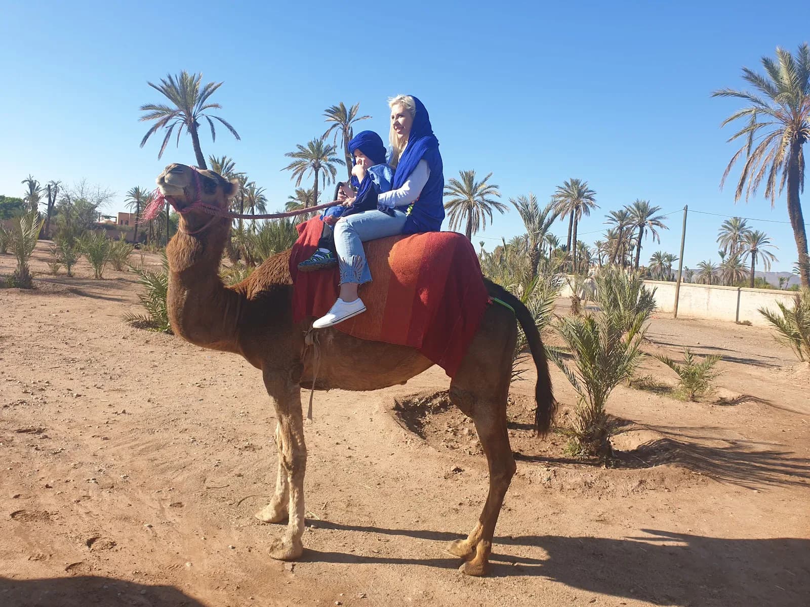 Atlas Tours Marrakech 2