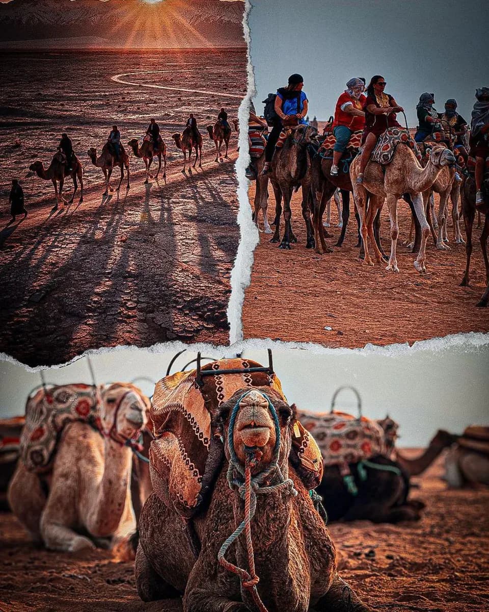 Agafay Quad Buggy & Camel 4
