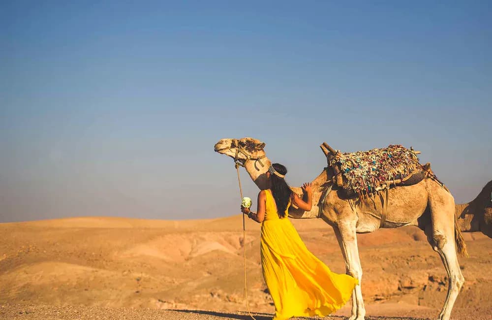 Camel Ride and Quad Adventure in the Moroccan Desert