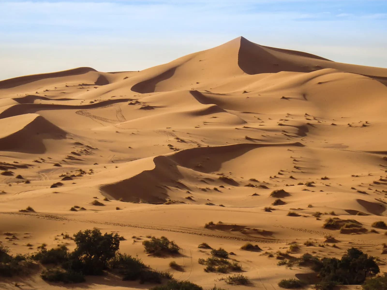 Morocco Camel Trekking 2
