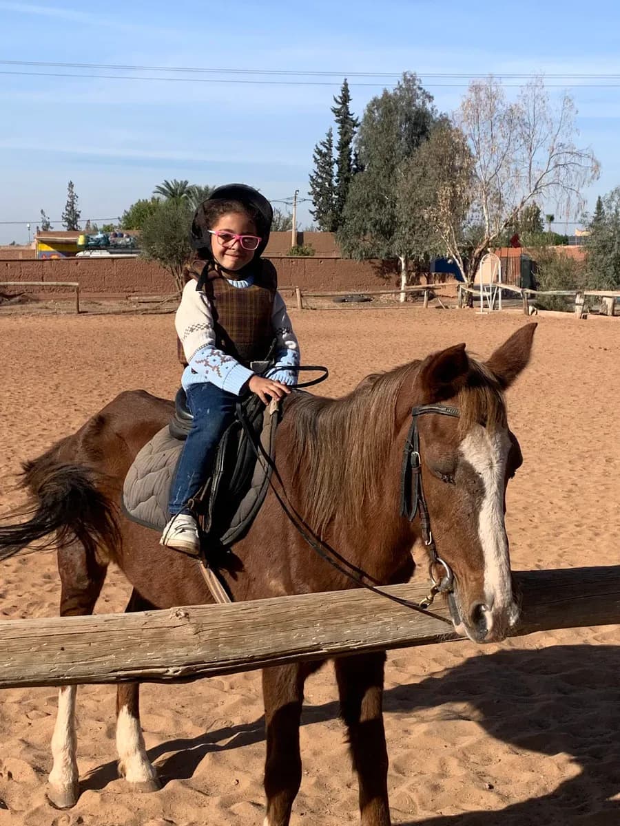 Ranch Family Horse 3