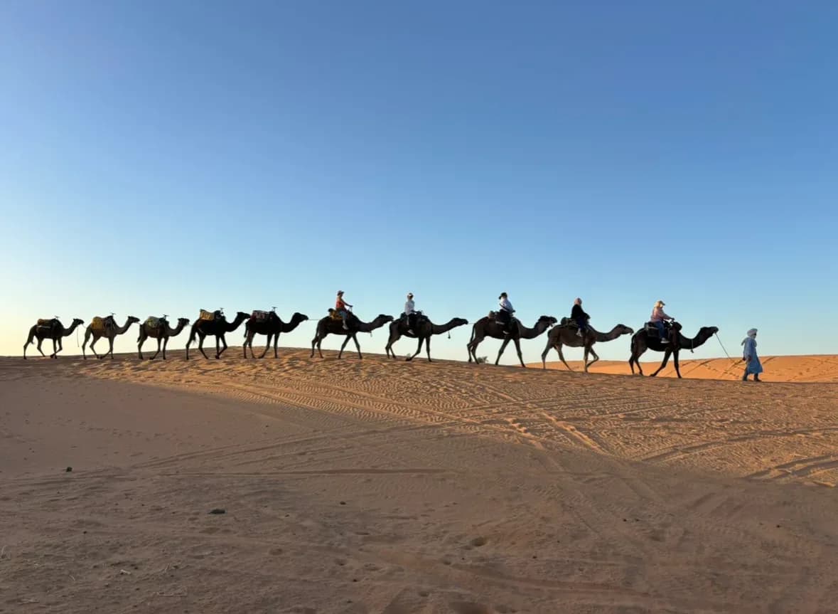 History Morocco Tours 2
