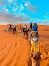 Camel Trek and Quad Bike Adventure in the Moroccan Desert