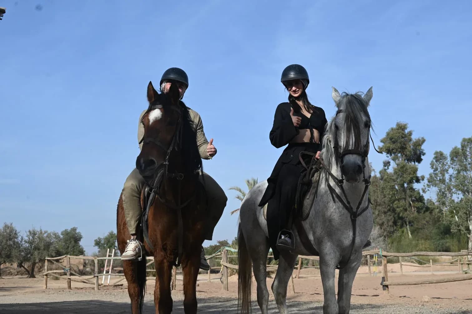 Cheval Marrakech Bab Atlas 3