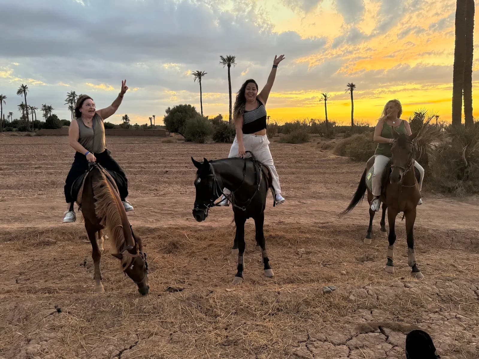 Horseback Riding Through Morocco’s Palm Landscapes