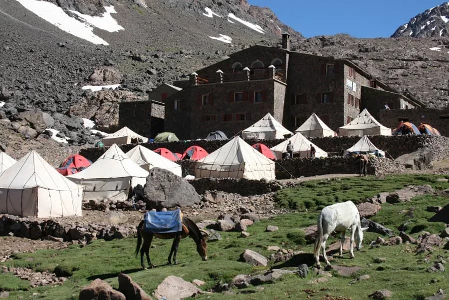 Toubkal Local Guide