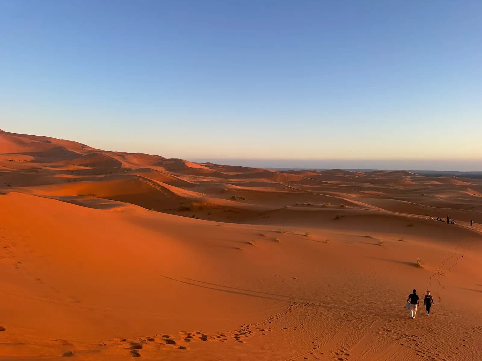 Sahara Camel Trips 2